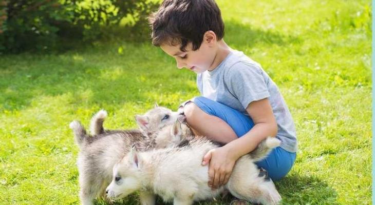 الأطفال والحيواتات الأليفة