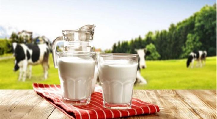 دراسة تكشف: الألبان تتفوق على البدائل النباتية في تنظيم سكر الدم