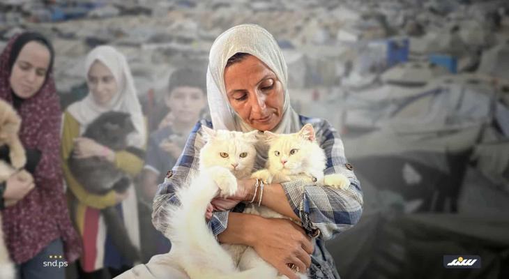الحيوانات الأليفة في الإبادة