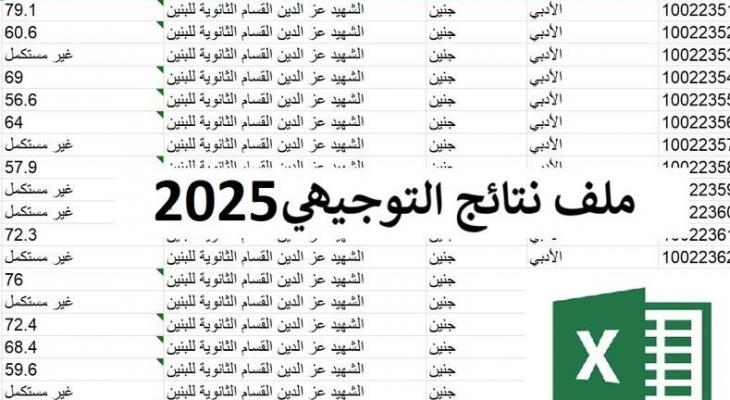 رابط تحميل توجيهي 2025 غزة بالأسماء XSL