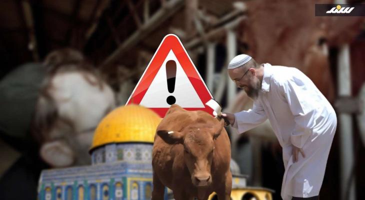 تهويد المسجد الأقصى
