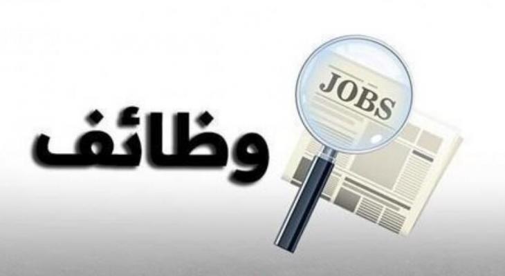 وظائف جديدة بوزارة الخارجية والهجرة: تفاصيل التقديم والشروط