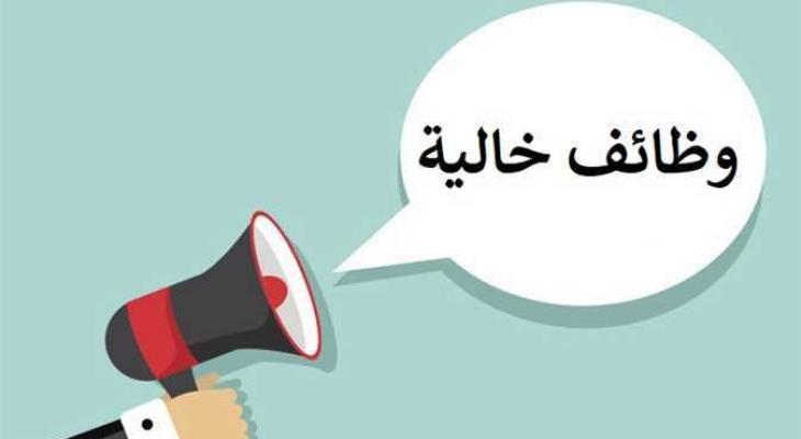 فرص عمل برواتب مغرية: وزارة العمل تفتح أبواب التوظيف بـ 432 وظيفة
