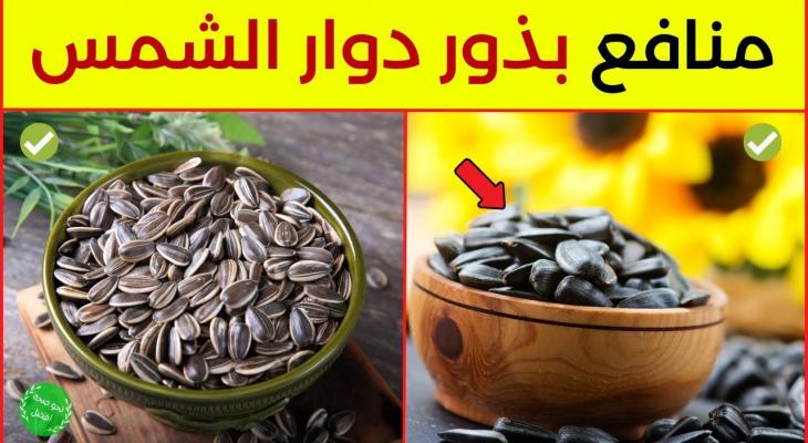 فوائد بذور عباد الشمس (اللب السوري) لا تقدر بثمن