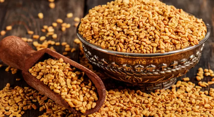 الحلبة.webp