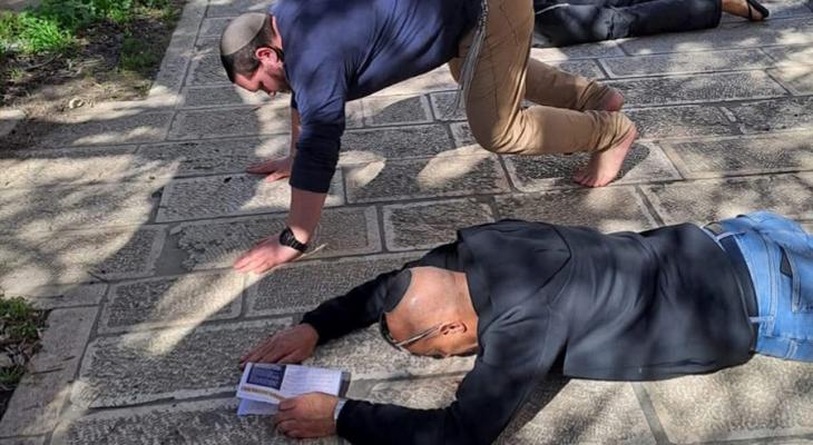 مستوطنون يؤدون سجودا ملحميا في ساحات الأقصى