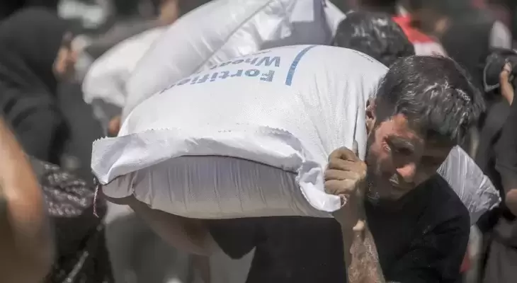 هندسة التجويع