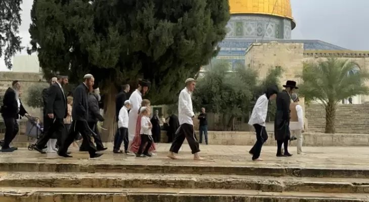 اقتحام الأقصى قبالة قبة الصخرة