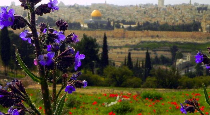 ربيع القدس.jpg