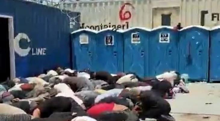 متضامنون أجانب