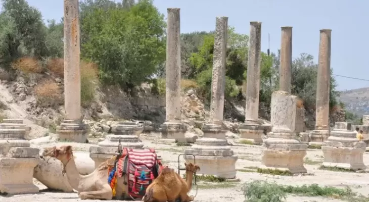 سبسطية