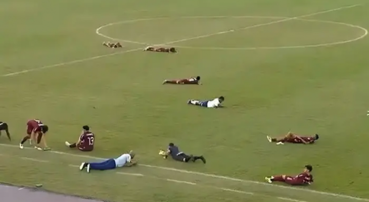 نحل يتسبب في إيقاف مباراة بالدوري البرازيلي