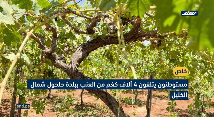 اتلاف محاصيل