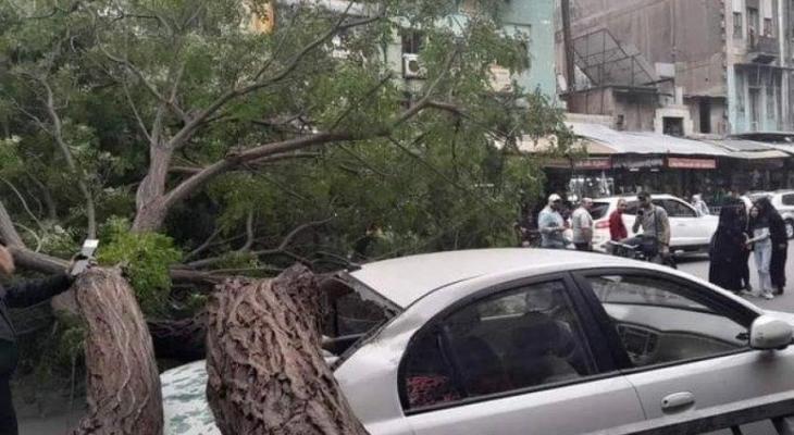 أمطار وسيول تضرب الشمال والساحل السوري