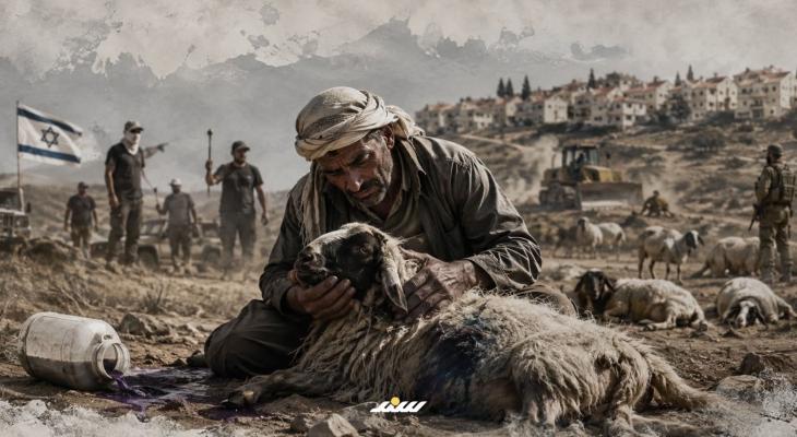 حرب المستوطنين على الرعاة الفلسطينيين.jpg