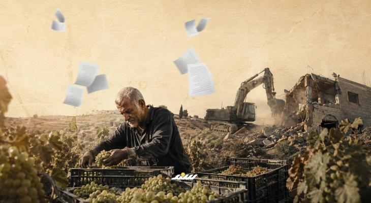 عنب جنين