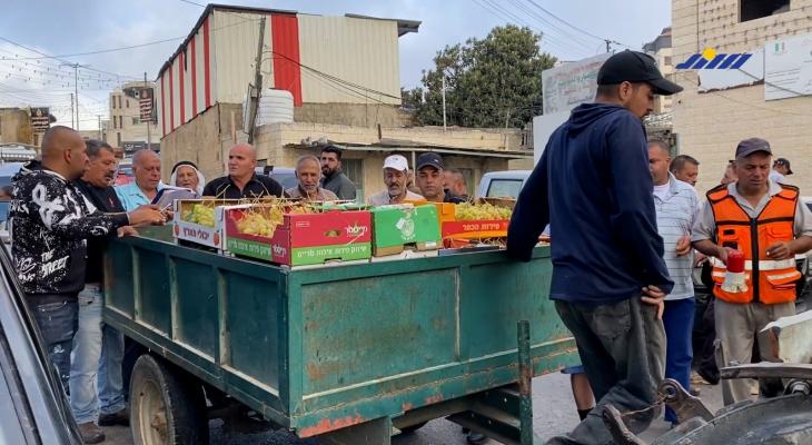 موسم العنب في حلحول.. مزارعون يحاولون الصمود واعتداءات المستوطنين لا تتوقف
