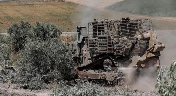 تجريف زيتون فلسطيني.jpg