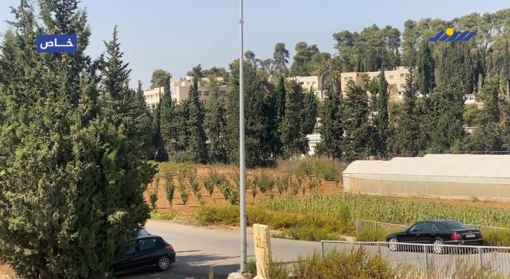 جامعة خضوري