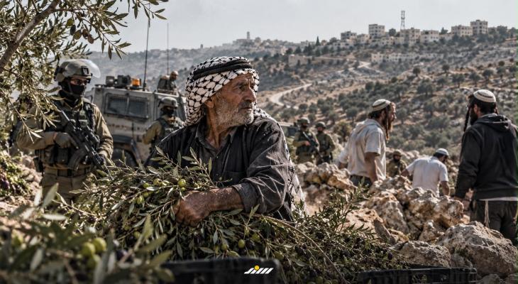 حصار موسم الزيتون