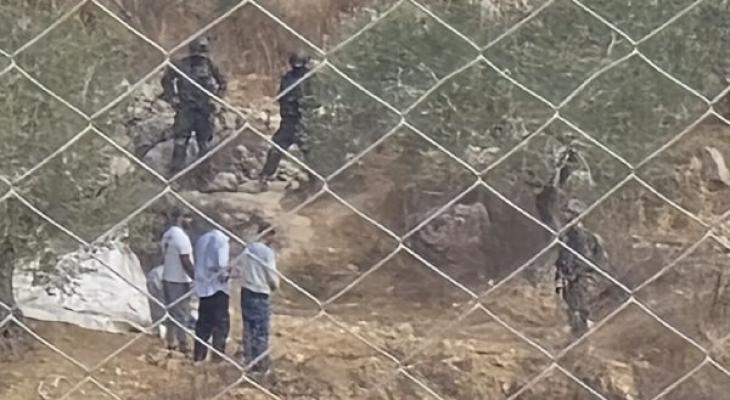 الاحتلال يحتجز عدد من المزارعين خلال عملهم في قطف الزيتون.