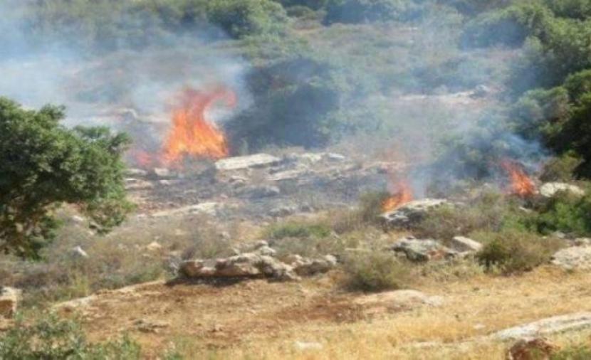 مستوطنون يشعلون النيران بأراضٍ زراعية في "سنجل"