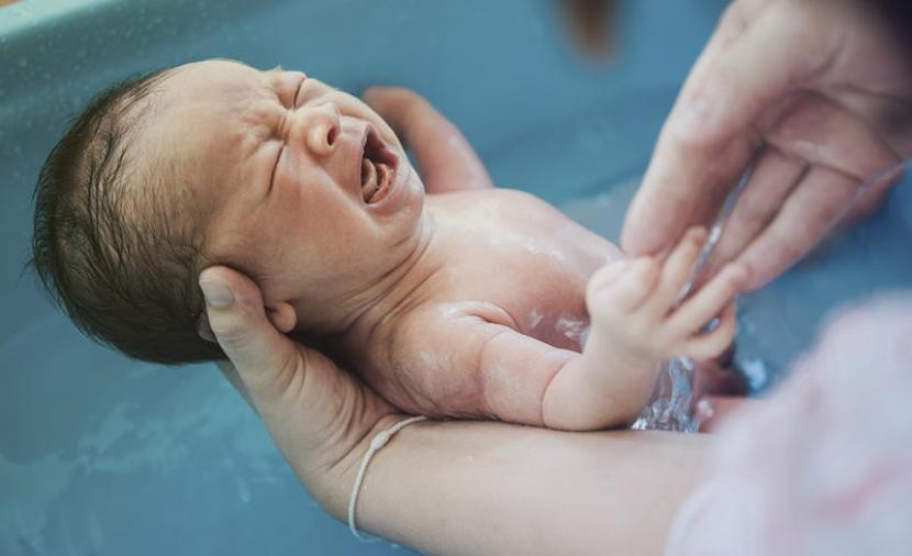 محبوب الجماهير رطب الدنيس البحر  الحركات غير الطبيعية للطفل الرضيع - وكالة سند للأنباء