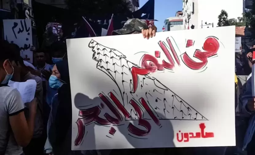 الاستخبارات الألمانية تشرعن ملاحقة الرموز المؤيدة لفلسطين