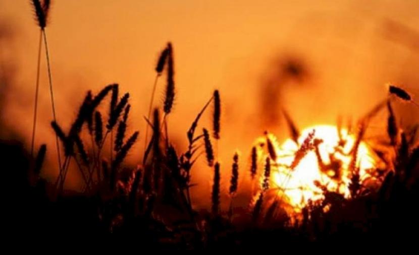 الطقس: أجواء جافة ومغبرّة ودرجات الحرارة فوق معدلها