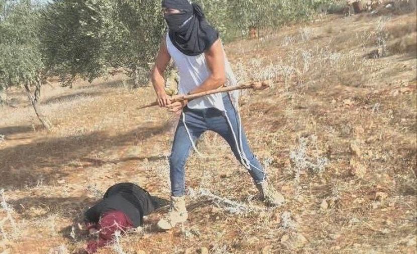 إصابة مسنة واعتقال 3 من أبنائها باعتداء للمستوطنين بالخليل