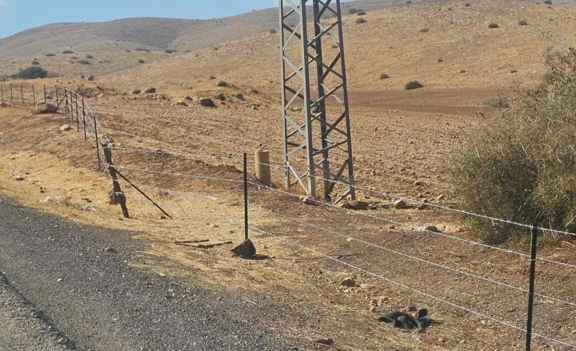 مستوطنون يُسيِّجون أراضٍ في الأغوار الشمالية