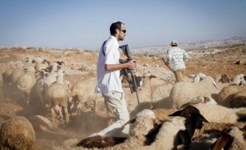 9 اعتداءات استيطانية جديدة بالضفة