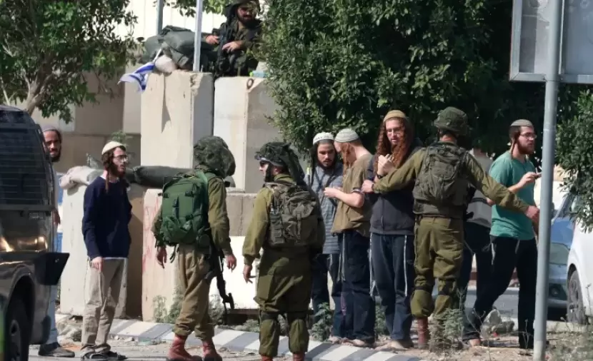 مستوطنون يدمرون شبكة كهرباء جنوب شرق بيت لحم