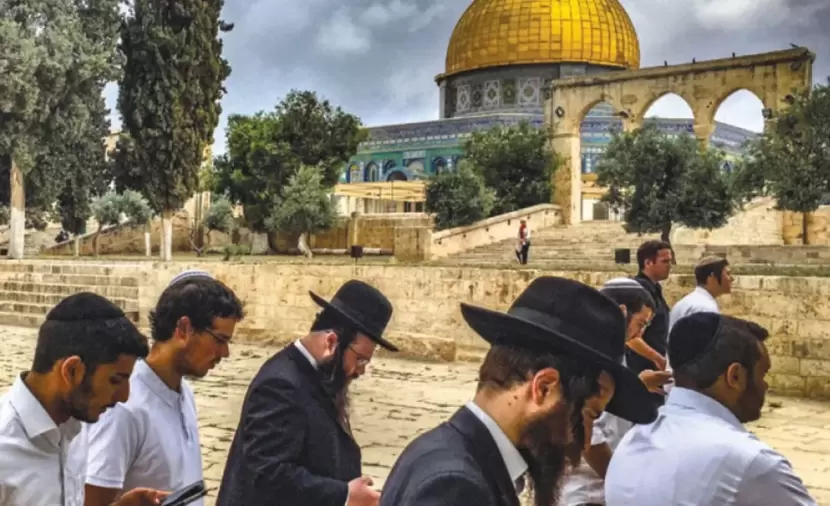 177 مستوطناً يدنسون باحات الأقصى