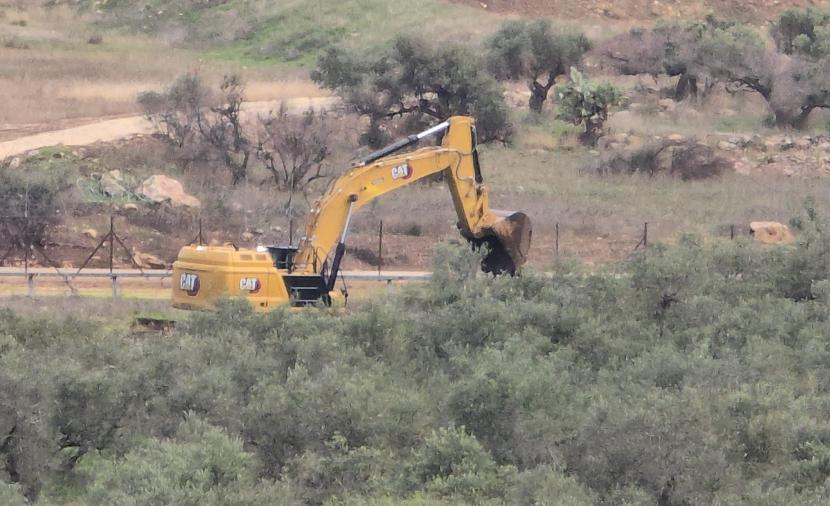 الاحتلال يقتلع عشرات أشجار الزيتون جنوب بيت لحم