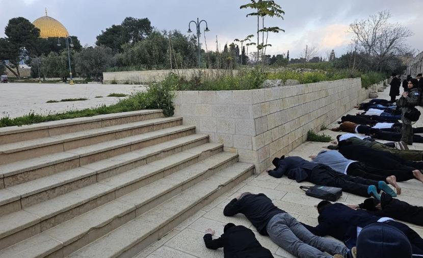 492 مستوطناً يقتحمون الأقصى ويؤدون طقوساً تلمودية
