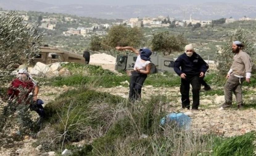 مستوطنون يقتحمون الخان الأحمر شرق القدس