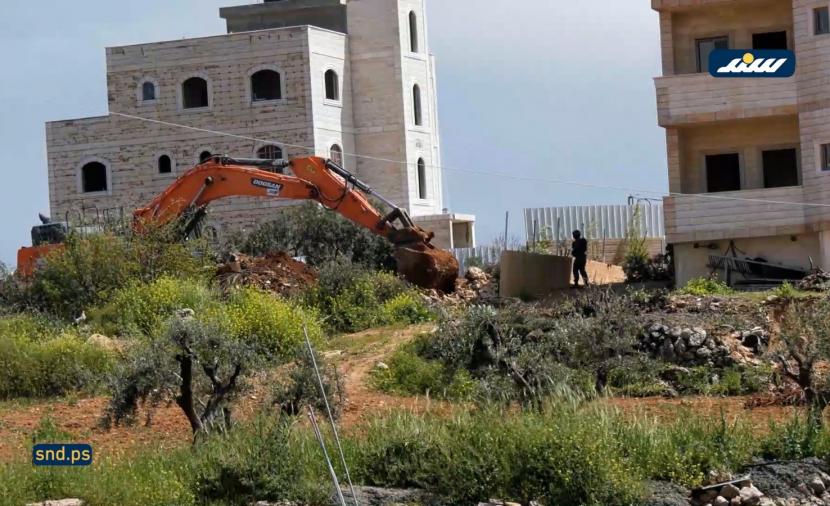 اقتلاع الزيتون.. حرب على الاقتصاد والهوية الفلسطينية