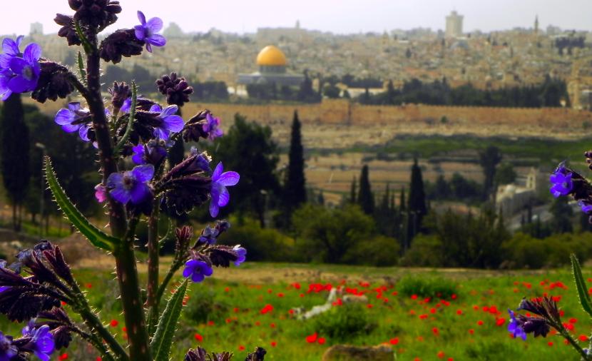 فلسطين تتأثر بكتلة هوائية باردة والدفء يعود تدريجيا