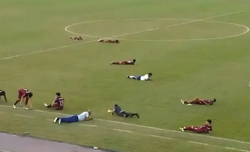 نحل يتسبب في إيقاف مباراة بالدوري البرازيلي