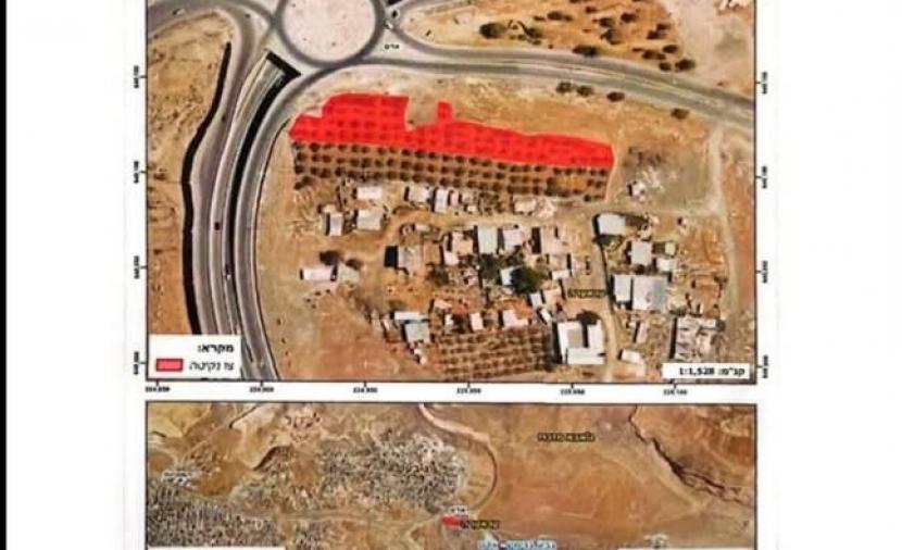 الاحتلال يخطر بإزالة أشجار والاستيلاء على أراض بالقدس