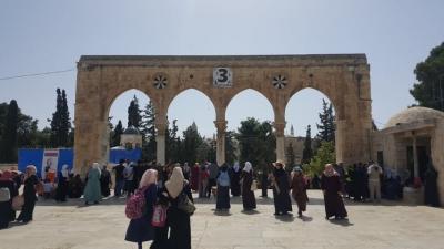 الاقصى 25.jpg