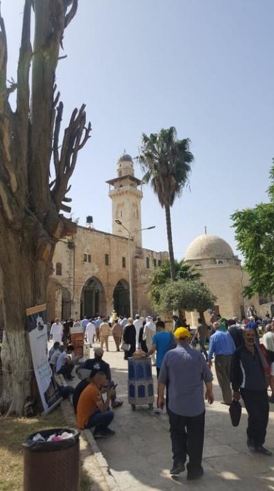 الاقصى 9.jpg