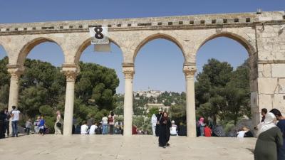 الاقصى 8.jpg