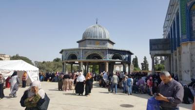 الاقصى 12.jpg