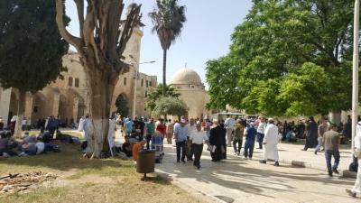 الاقصى 17.jpg