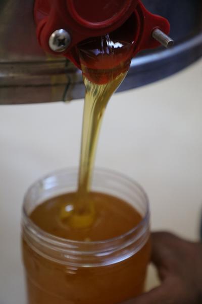 38_40_14_3_7_20191.JPG