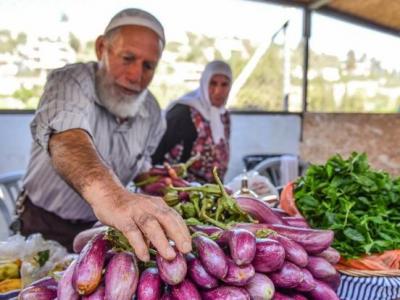 الباذنجان البتيري.jpg