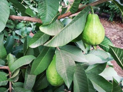 120109886_3580366158695422_2860513841634965716_n.jpg