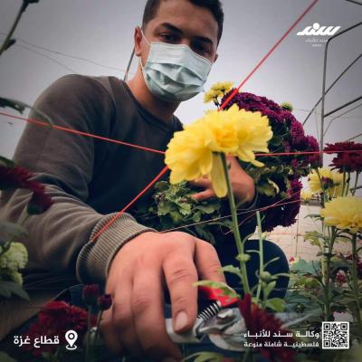 7d339f81-e422-42b6-bfad-68cd8c8fc79e.JPG